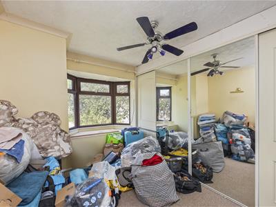 Picture 14